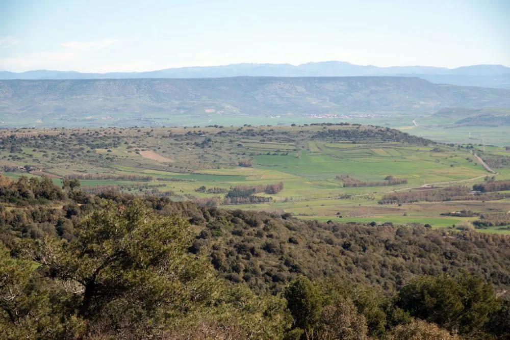 Paesaggio con alberi e colline