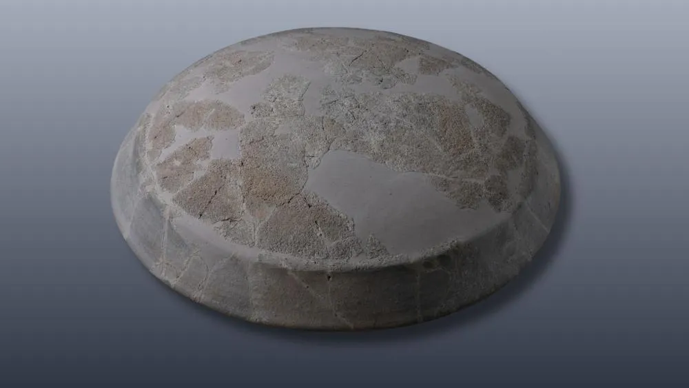 COPPA DI COTTURA